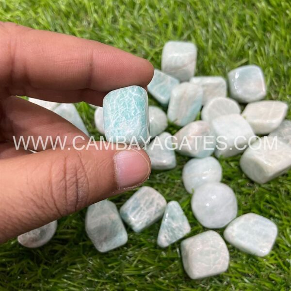 Amazonite Tumbled Stones Crystals