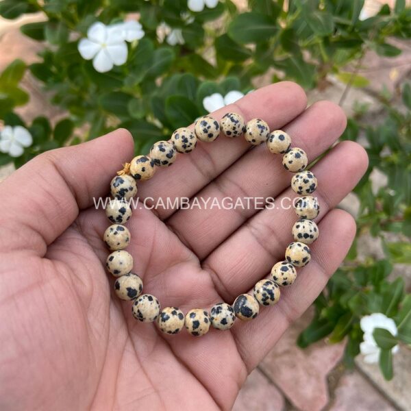 Dalmatian Jasper Gemstone Bracelet