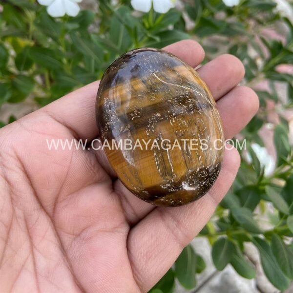 Tiger Eye Palm Stone