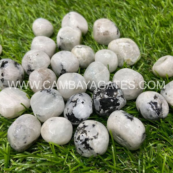 White Rainbow Moonstone Tumbled Stones Crystals
