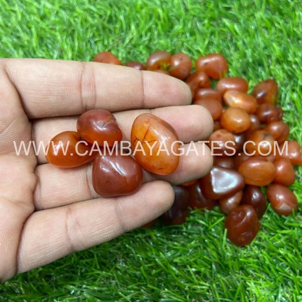 Red Carnelian Tumbled Stones